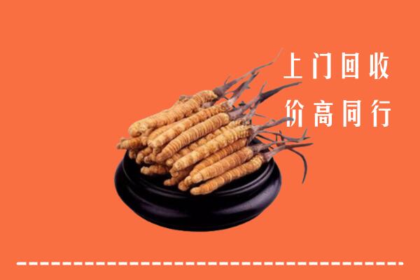 高价求购：武城县回收散虫草