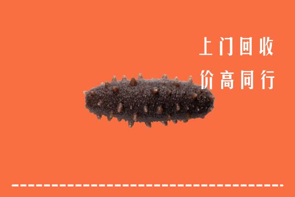 武城县回收海参